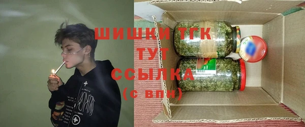индика Балабаново