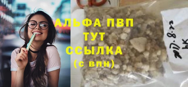 индика Балабаново