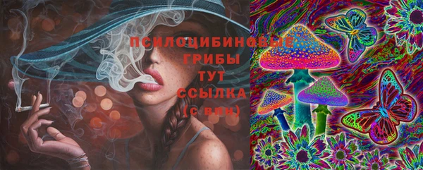 индика Балабаново
