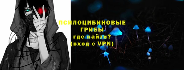 индика Балабаново