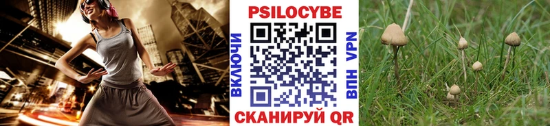 где купить   мега вход  Галлюциногенные грибы GOLDEN TEACHER  Ясногорск 